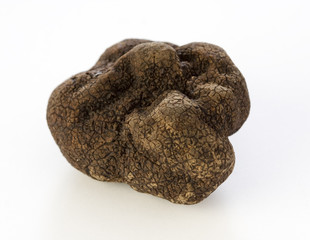 Black truffle Tuber Melanosporum on white