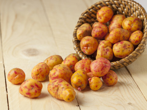 Ullocas, typical Peruvian potatoes