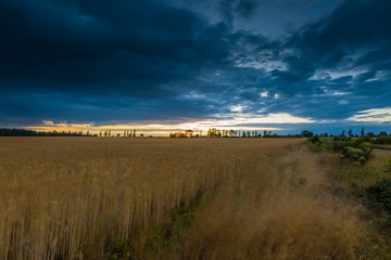 Landscape with dark stormy sky over fields at twilight