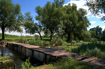 Fototapeta na wymiar old wooden bridge over a small river
