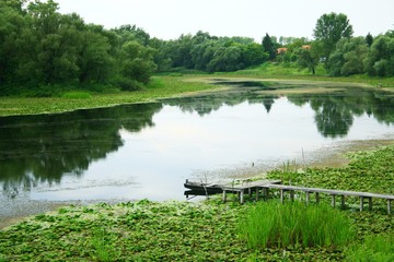 Fototapeta na wymiar Green lake