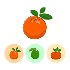 Citrus Orange  on White Background , Set of Three Round Colorful Icons Orange, Lime and Mandarin , Vector Illustration