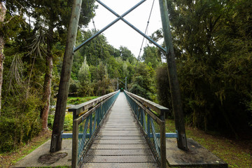 Suspended bridge