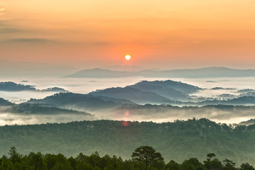 Obraz premium Sunrise over the panoramic mountains of Dalat with his sun rise on the hill waxing pine soon covered with clouds and fog do to honor the beauty highland Da Lat