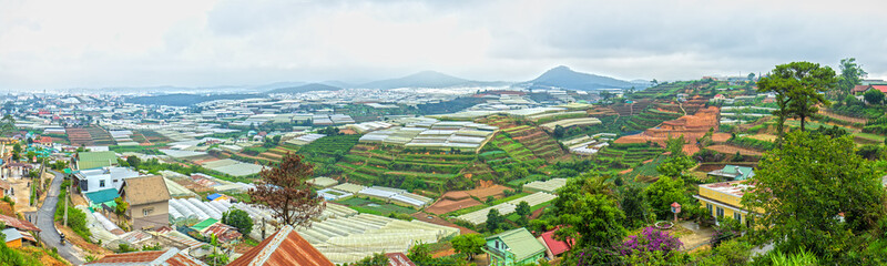 Fototapeta na wymiar Panoramic village of Da Lat Plateau in the hills with houses Horticultural crops, flowers, cabbage, kohlrabi ... far away from the mountains and hazy early morning mist.