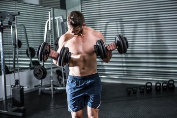 Naklejka premium Concentrated muscular man lifting dumbbells
