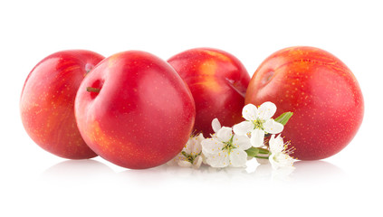 red plums on white background