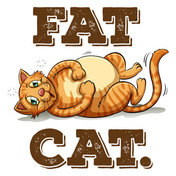 Fat cat with text