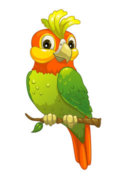 Funny cartoon parrot