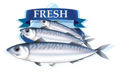 Fresh sardines with text