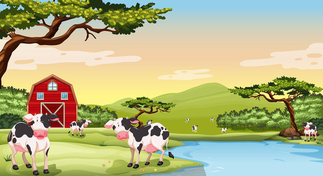 Farm scene with cows