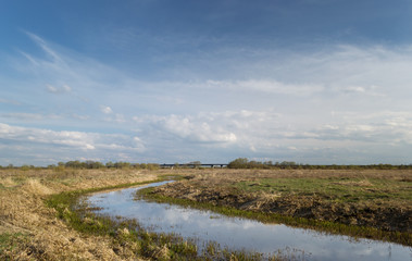 A small river in the meadows