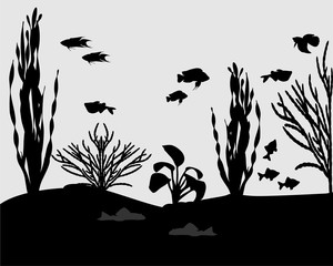 Silhouettes of fishes and algae in aquarium
