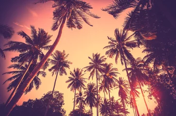 Tuinposter Vintage getinte palmboom silhouetten bij zonsondergang. © MaciejBledowski