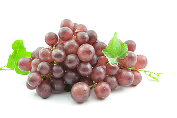 Grape seedless on wooden board