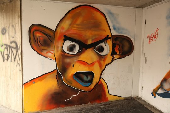 Innsbruck Graffity