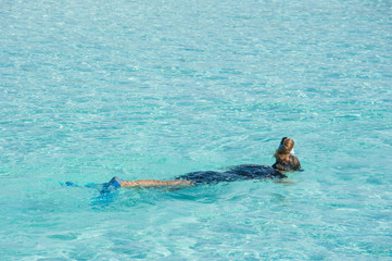 Woman snorkeling in crystal clear turquoise water at tropical beach, Maldives Island.