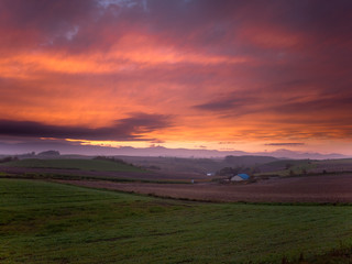 日没後の新栄の丘