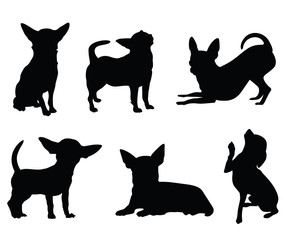 chihuahua dog illustration set - obrazy, fototapety, plakaty