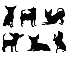 Fotobehang chihuahua dog illustration set © ivivankeulen