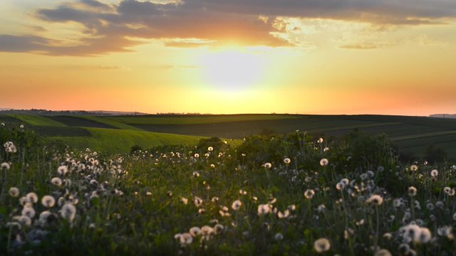 Sundown over Polish filed 
