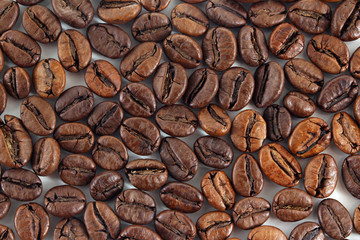 coffee beans on white background