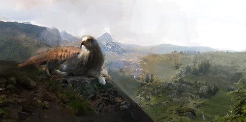 griffon laying on high rocks 