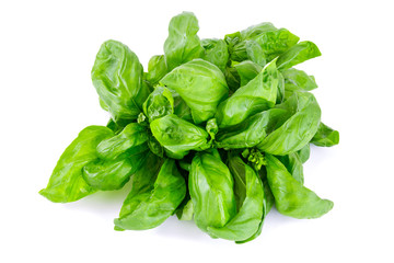 Sasil leafs isolated ona white background