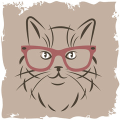 cat with red glasses