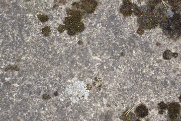 Concrete as a background