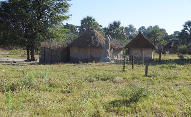 indigenous village at the Okavango Delta