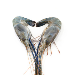 seafood fresh shrimp isolated on white
