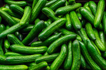 green cucumbers - 87218487