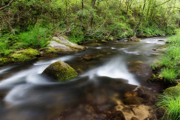 Landscape near Jaraiz de la Vera, Cáceres. Extremadura. Spain.