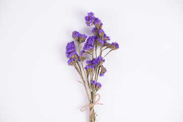 dried purple flower on white backgroud