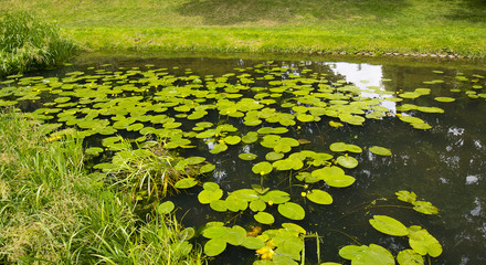 Park Jasnogórski © Zbyszek Nowak