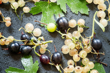 White and black currants with leaves on a dark background, top v