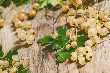 White currants with leaves on old wooden background, selective f