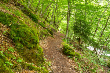 Beautiful eco path near Devin, Bulgaria