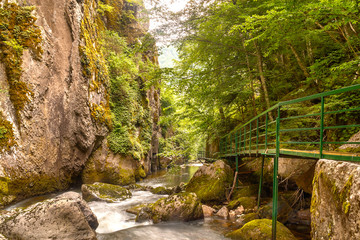 Obraz premium Beautiful eco path near Devin, Bulgaria