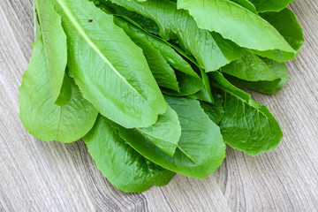 Romano salad leaves