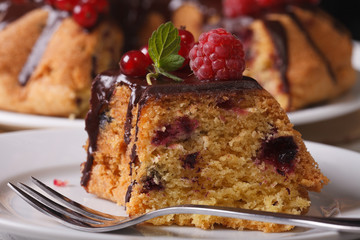 piece of homemade berry cake macro on a plate. horizontal
