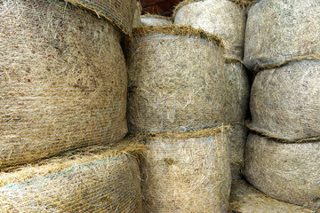 Stacked circular hay bale texture