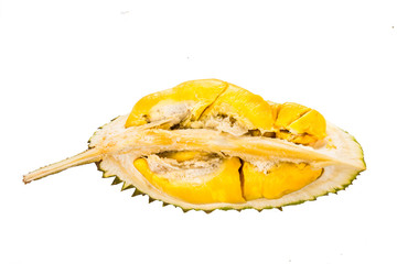 Fototapeta na wymiar Freshly harvested durian fruit with delicious golden yellow soft flesh