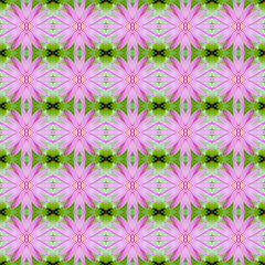 Fototapeta na wymiar Pink lotus or waterlily seamless