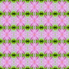 Fotobehang Pink lotus or waterlily seamless © eaglesky