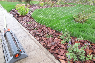 Oscillating sprinkler watering fresh green lawn grass in the autumn garden - obrazy, fototapety, plakaty