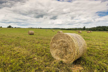 Summer field with rolls of haystacks. Focus is on the nearest roll 
