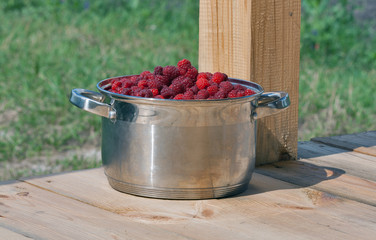 Fresh ripe raspberries in a large saucepan