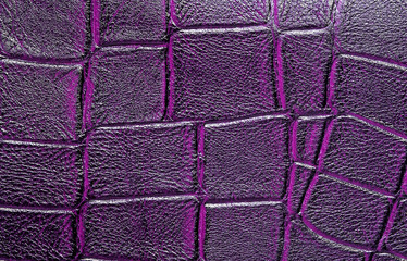 Violet alligator patterned background